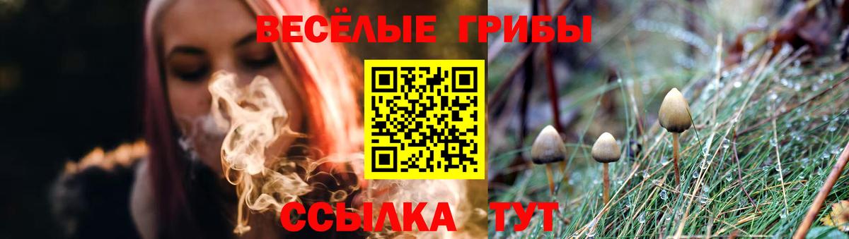 Галлюциногенные грибы мицелий  Галлюциногенные грибы Psilocybe  Вход с VPN  Вышний Волочёк 